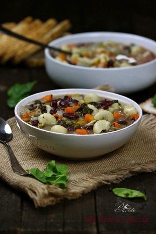 Receta de potaje de verduras, con alubias rojas y galets